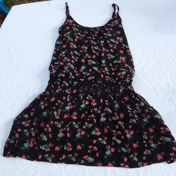 American Eagle Outfitters Other - American Eagle Chiffon Floral Dropped Waist Dress